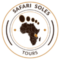 safari zanzibar favicon logo