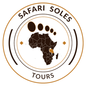 safari zanzibar favicon logo